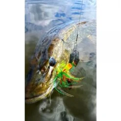 Spro IRIS Thrillseeker Roach 14gr – #4/0 -Aanbevolen Winkels Voor Visuitrusting 1387749Spro Iris Thrillseeker 10cm 14gr 3 1 3