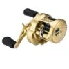Shimano Calcutta Conquest 301 A -Aanbevolen Winkels Voor Visuitrusting calcutta 1