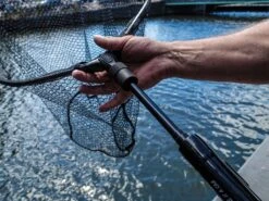Spro Freestyle Flip Net Head ( 65 – 50 – 50 ) -Aanbevolen Winkels Voor Visuitrusting products flip net 02 x 1