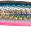 Megabass Marine Gang 120S Blue Pink -Aanbevolen Winkels Voor Visuitrusting products megabass marinegang90s ggbluepink scaled 1