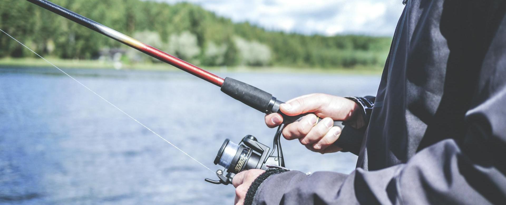 Aanbevolen Winkels Voor Visuitrusting -Aanbevolen Winkels Voor Visuitrusting pexels lum3n 44775 294674