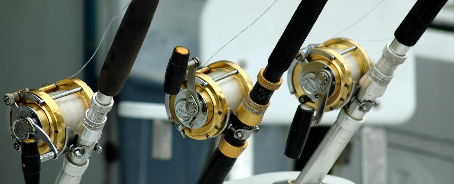 Aanbevolen Winkels Voor Visuitrusting -Aanbevolen Winkels Voor Visuitrusting pexels pixabay 209810